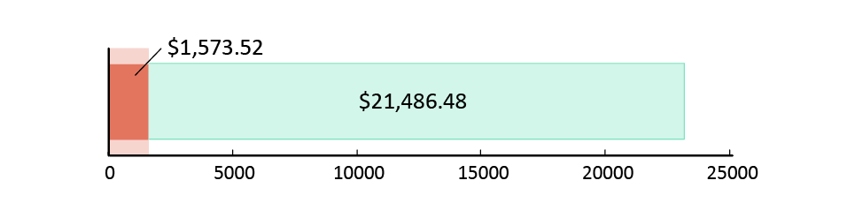 US$ 1,573.52 spent; US$21,486.48 left